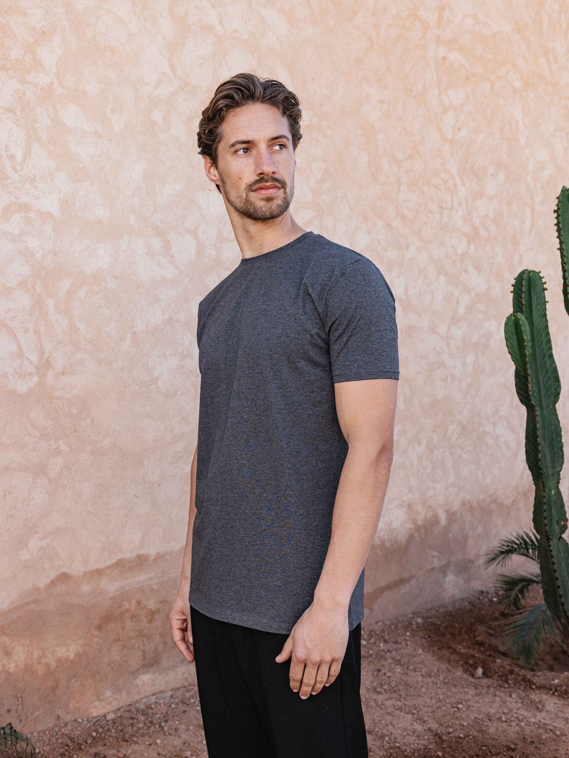 Dark Gray Melange Slim Fit T-shirt