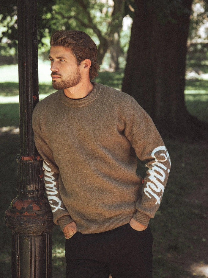 Brauner Sixteen Strickpullover