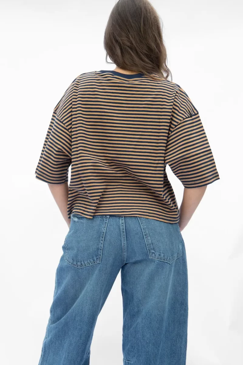 Navy/ Brown Stripe Cropped Tee